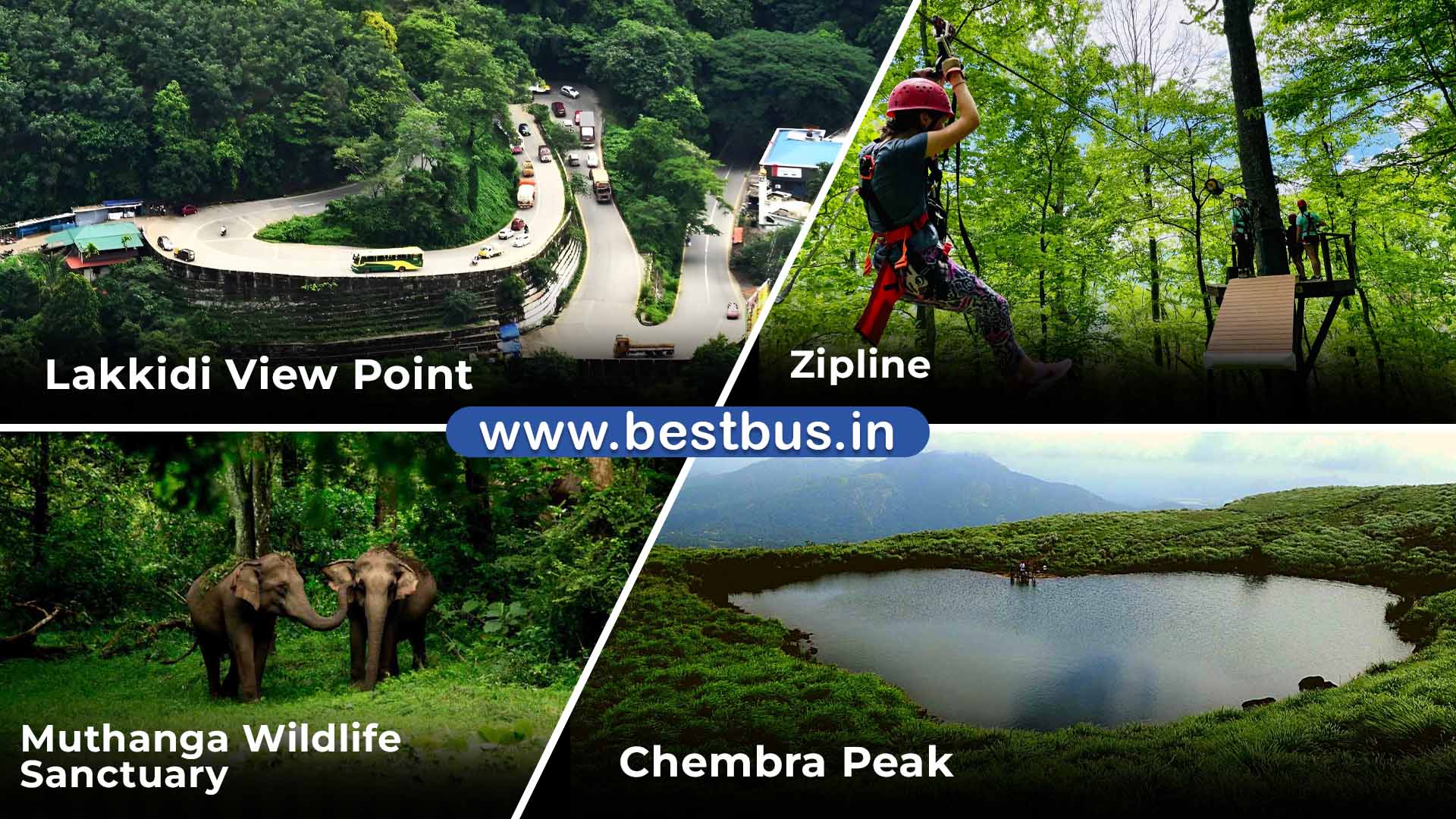 Mysore To Mysore Wayanad Nagarahole Tiger Reserve Coorg visit place 5
