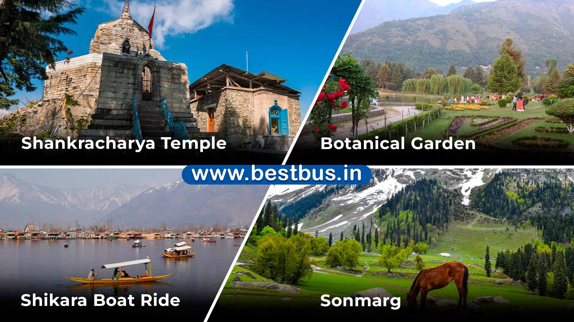 Mystical Kashmir Tour Package From Hyderabad By Flight-sha11a