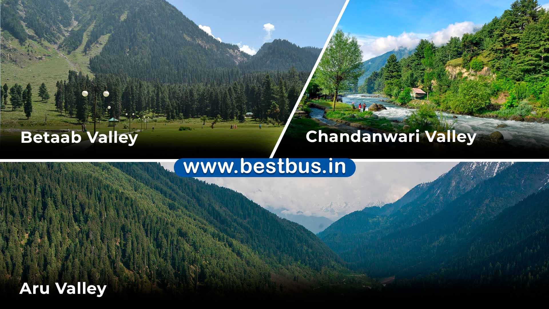 Mystical Kashmir Tour Package From Hyderabad By Flight-sha11a