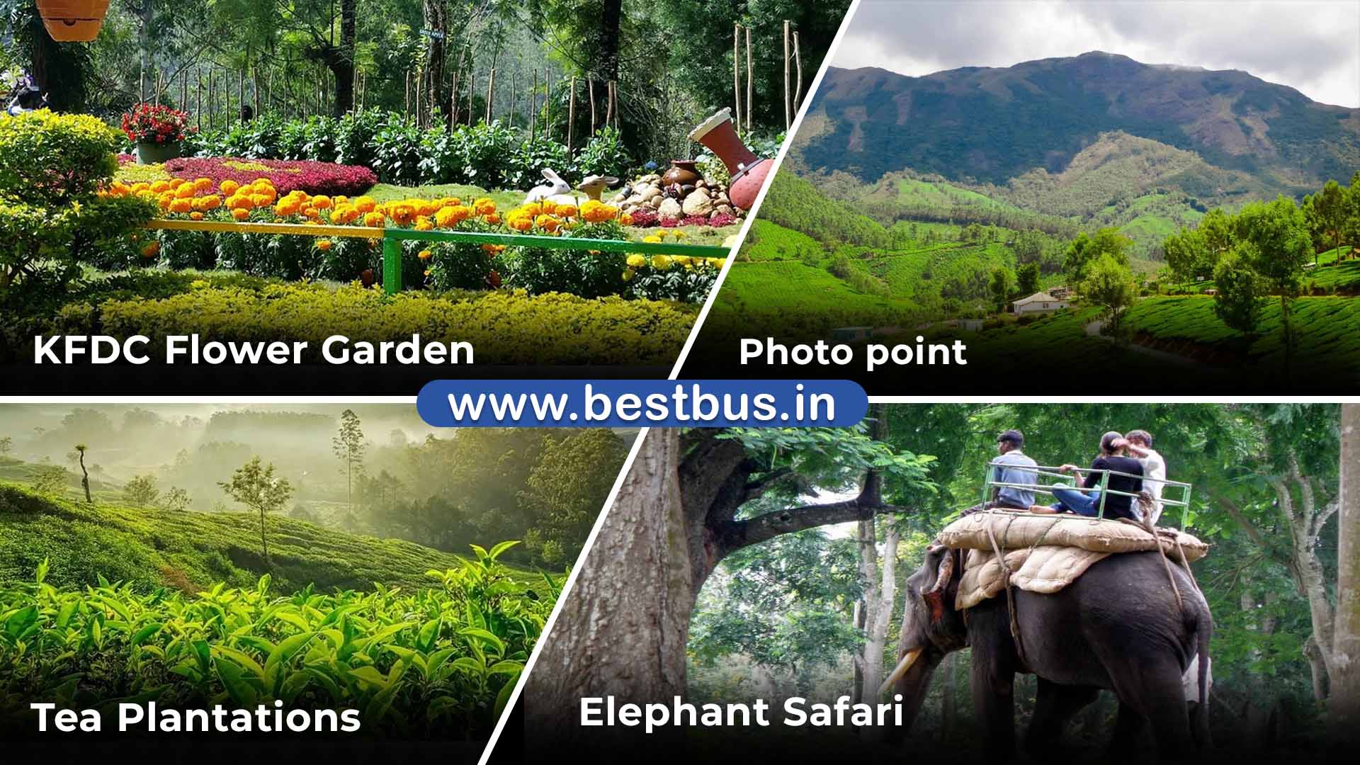 One Day Munnar Local Sightseeing Package Visiting Places List 1