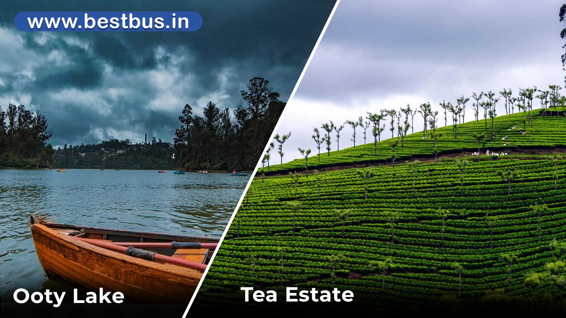 One Day Mysore To Ooty Sightseeing By Bus