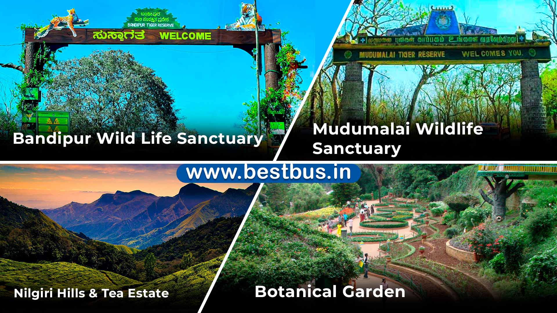 One Day Mysore To Ooty Sightseeing By Bus