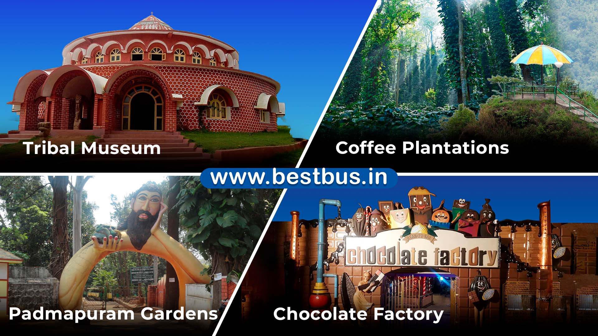 One Day Vizag To Araku Valley Tour Package By Car