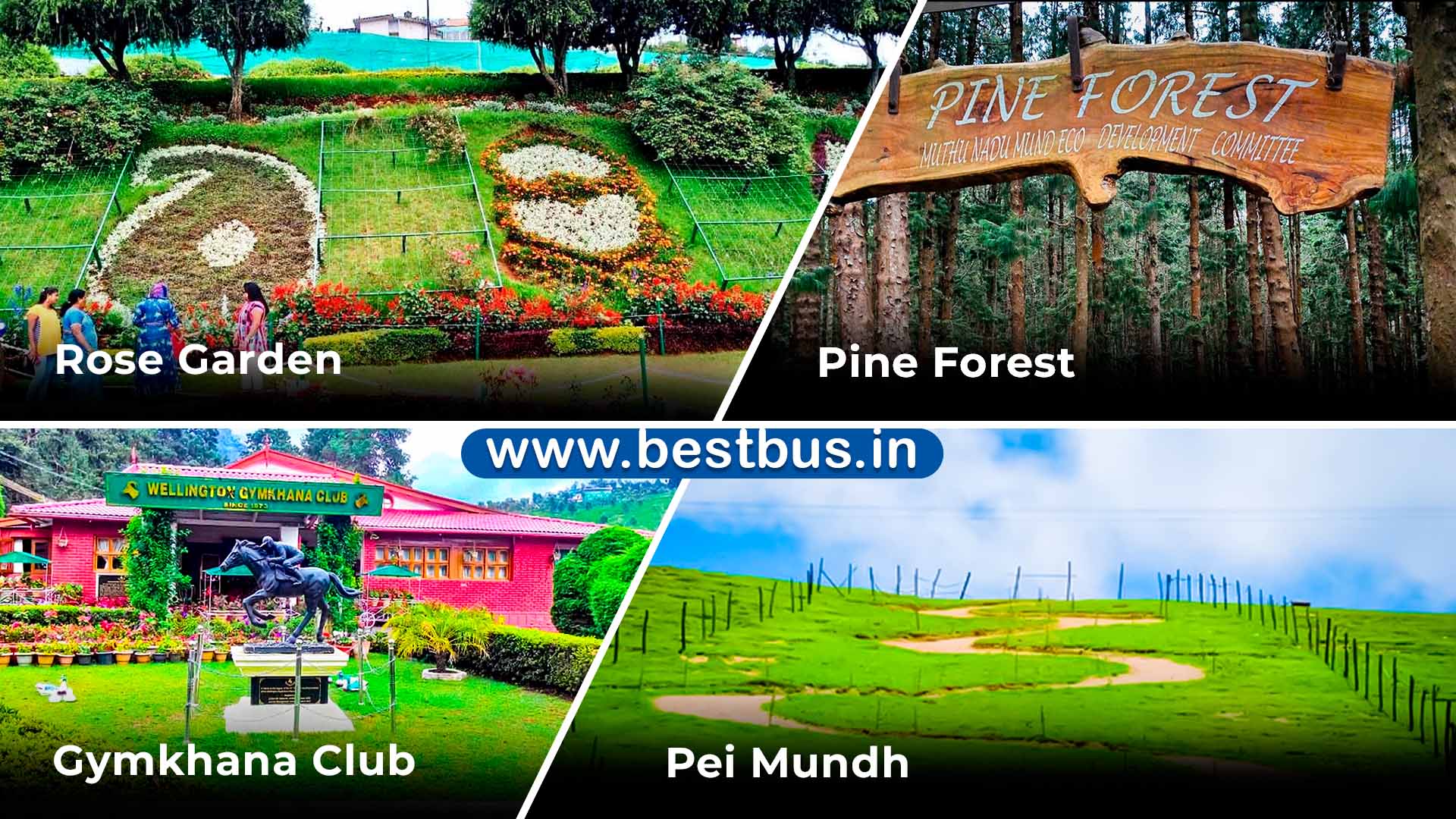 Ooty-Coonoor Tour Package from Bangalore