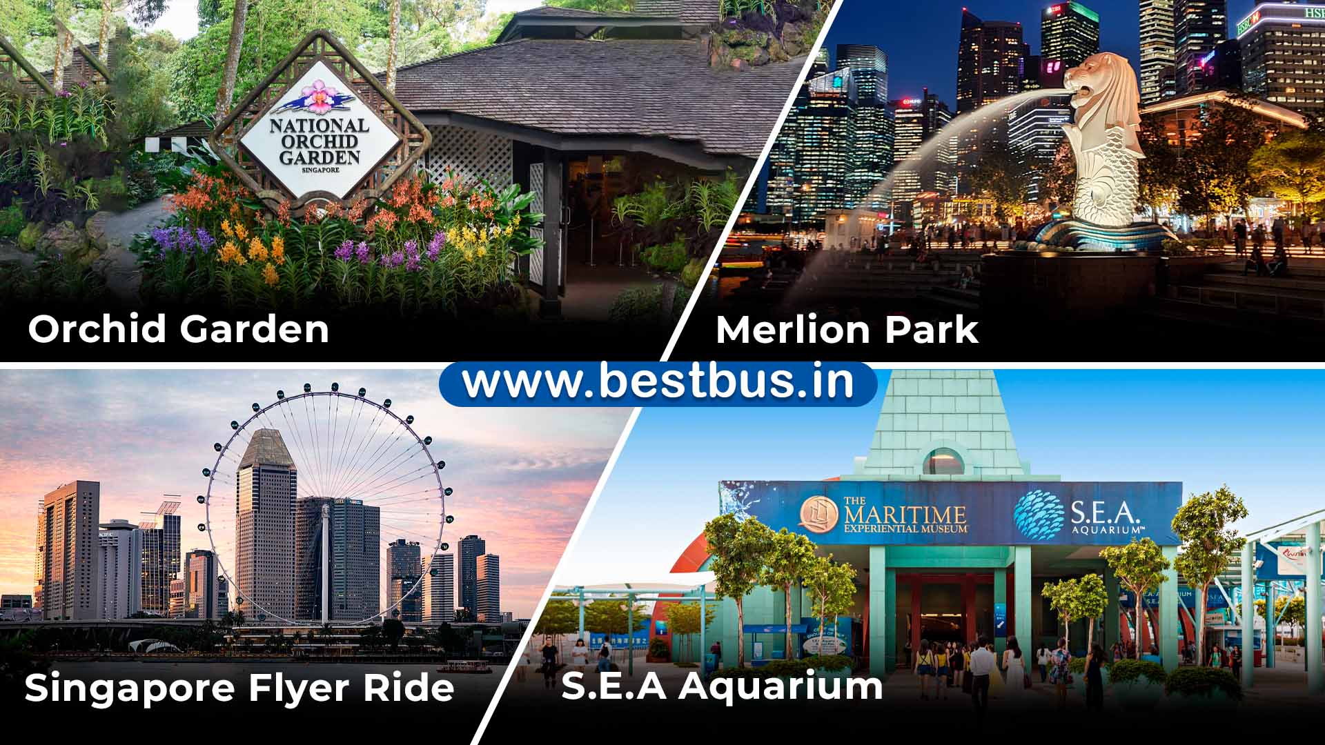 Singapore Tour Package From Hyderabad By Flight