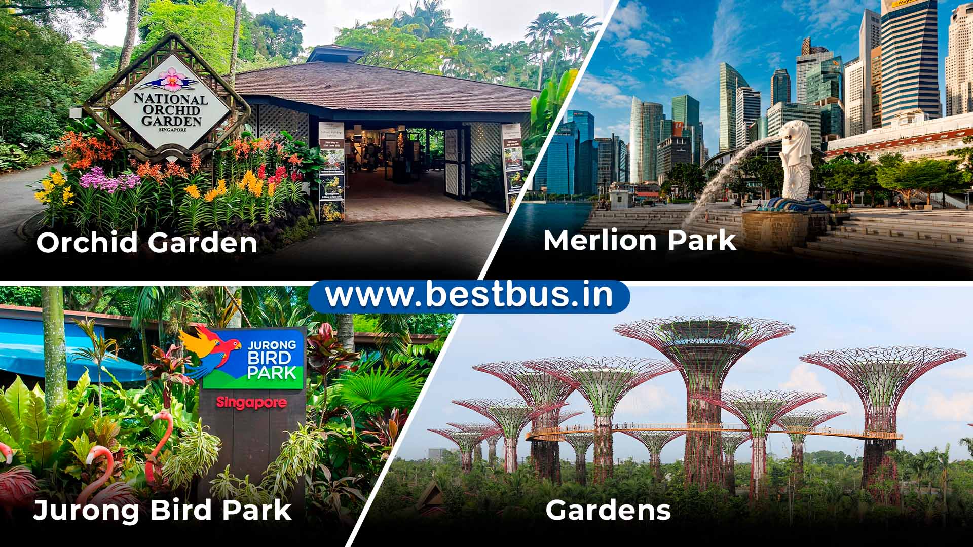 Singapore Tour Package From Hyderabad