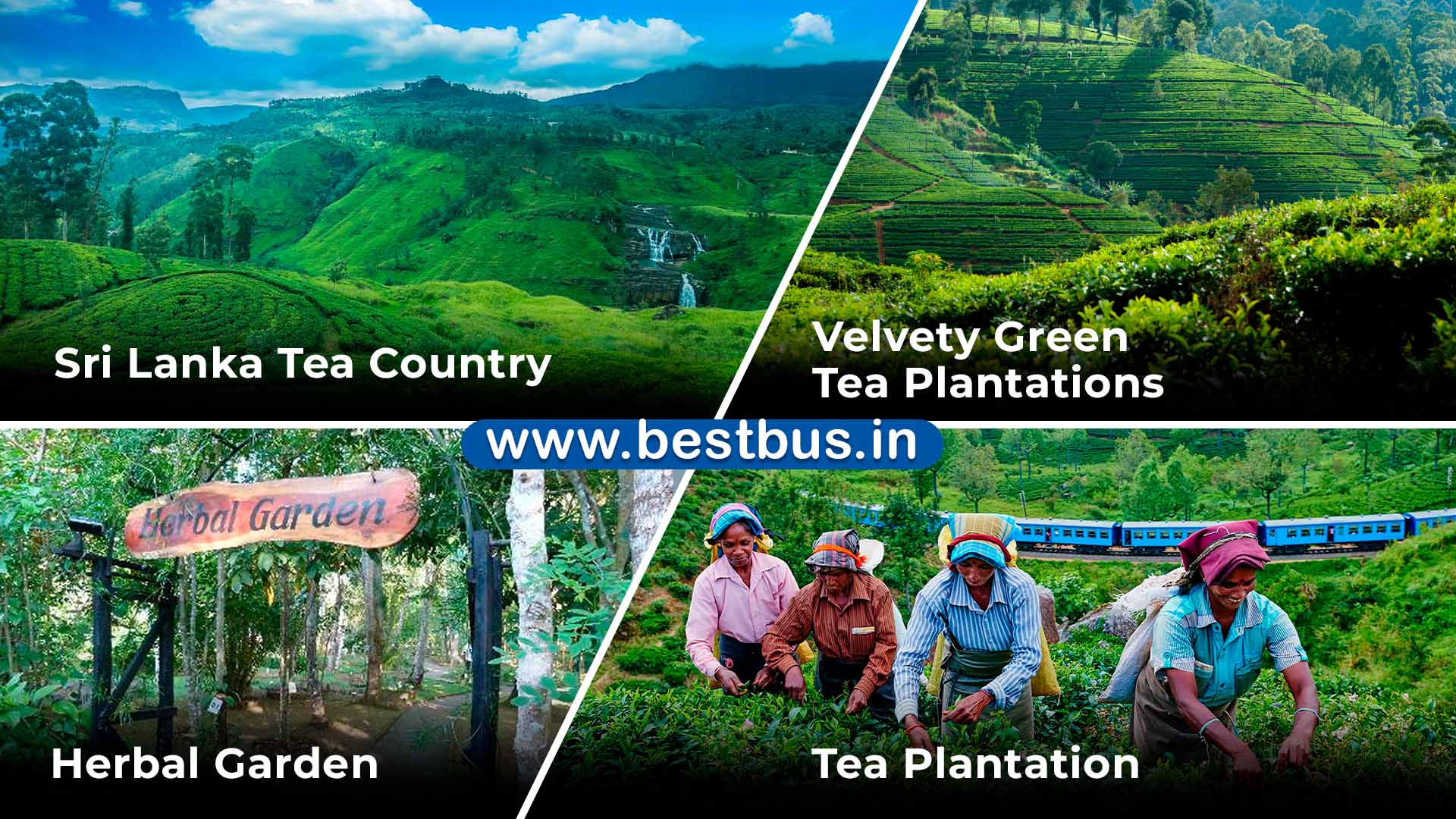 Sri Lanka - The Ramayana Yatra With Trincomalee-dambulla-kandy-colombo-nuwara Eliya From Hyderabad By Flight